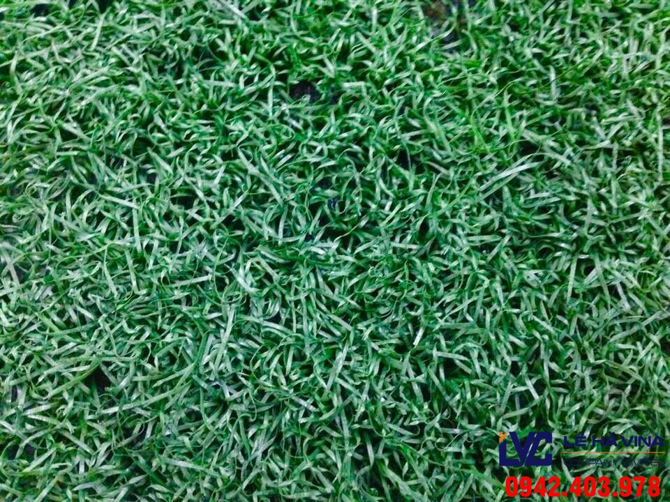Cỏ nhân tạo thanh lý, Mua cỏ nhân tạo thanh lý, Cỏ thanh lý chất lượng, Thảm cỏ nhân tạo thanh lý, Cỏ nhân tạo thanh lý cho sân bóng