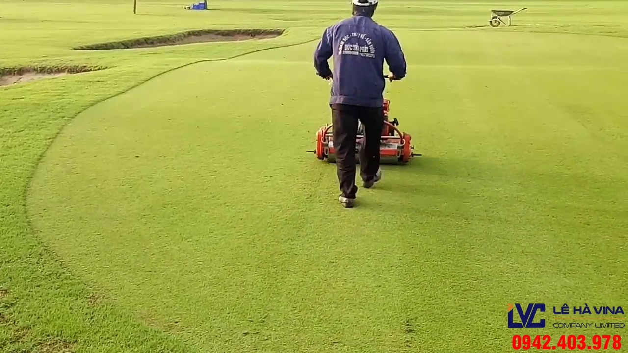 Chăm sóc sân cỏ sân golf, Lắp đặt sân cỏ nhân tạo, Sân cỏ bóng nhân tạo, Cỏ nhân tạo sân golf, Sân cỏ nhân tạo
