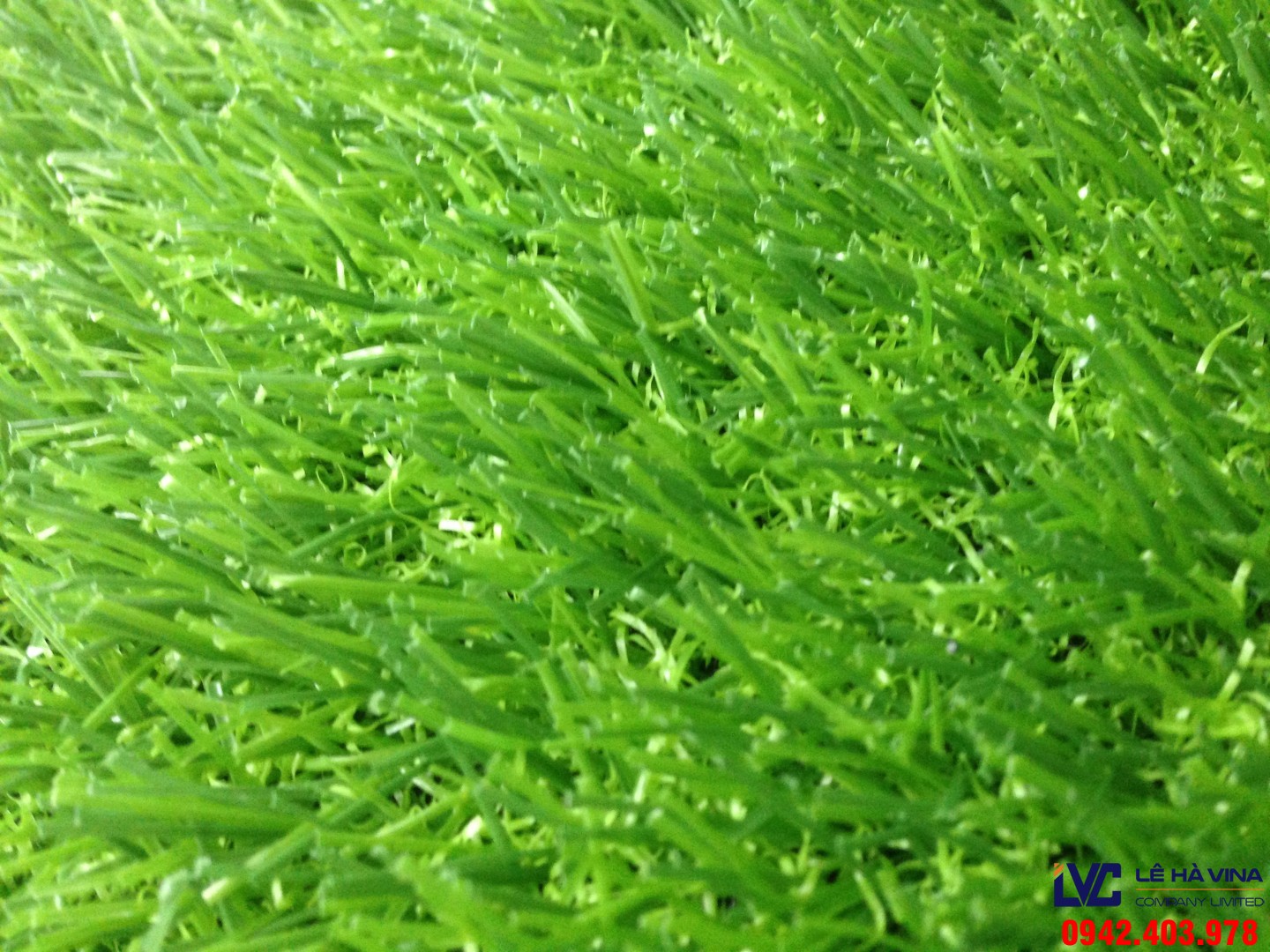 Cỏ nhân tạo, Cỏ tự nhiên, Thảm cỏ nhân tạo, Thảm cỏ tự nhiên, Công ty Lê Hà Vina