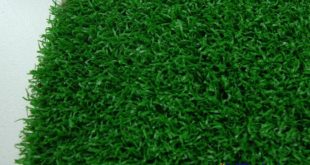 Thảm cỏ nhựa TPHCM, Thảm cỏ, Thảm cỏ nhân tạo, Thảm cỏ trang trí văn phòng, Cỏ nhân tạo