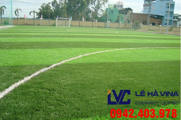 Cỏ sân bóng đá quốc tế, Cỏ sân bóng, Công ty Lê Hà Vina, Cỏ nhân tạo, Địa chỉ cung cấp cỏ sân bóng đá