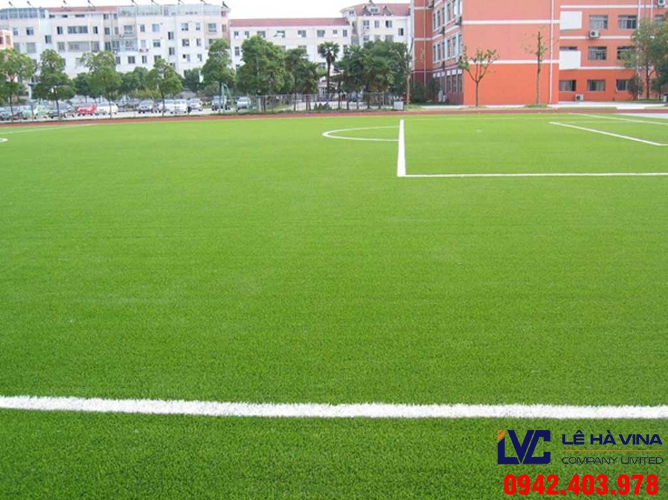 Cỏ sân bóng, Cỏ sân bóng đá, Lê Hà Vina, Giá cỏ sân bóng đá, Cỏ nhân tạo, Sân cỏ nhân tạo