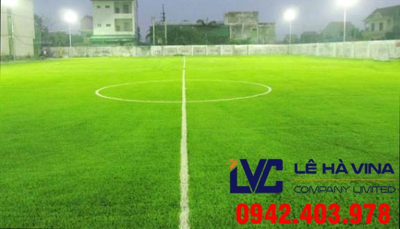 Cỏ sân bóng, Cỏ sân bóng đá, Lê Hà Vina, Giá cỏ sân bóng đá, Cỏ nhân tạo, Sân cỏ nhân tạo