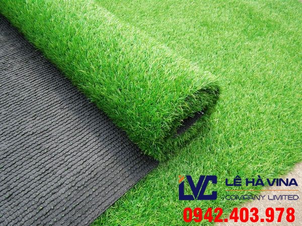 Cỏ sân bóng, Cỏ sân bóng đá, Lê Hà Vina, Giá cỏ sân bóng đá, Cỏ nhân tạo, Sân cỏ nhân tạo