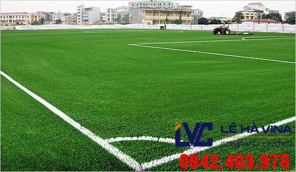 Giá thảm cỏ sân bóng đá, Lê Hà Vina, Cỏ nhân tạo, Cỏ sân bóng đá, Cỏ tự nhiên