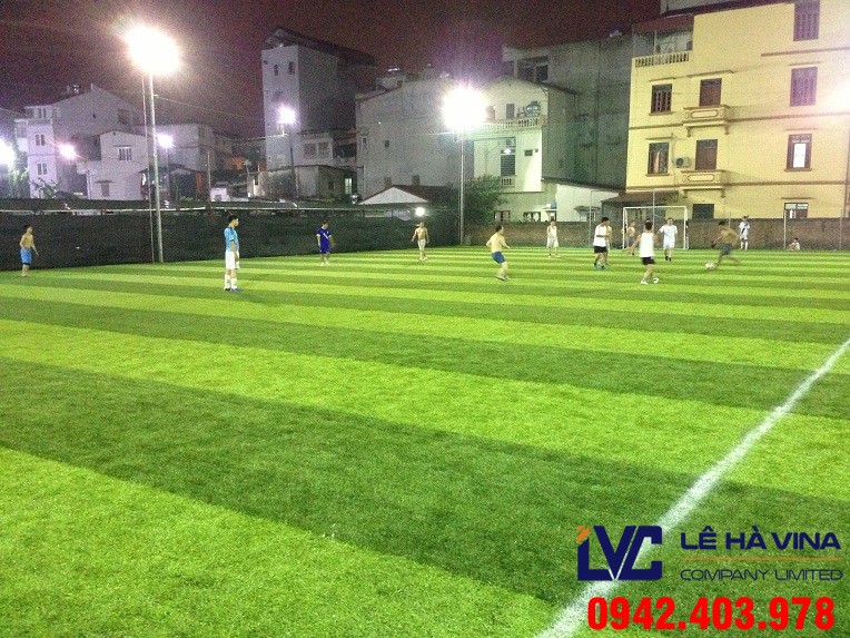 Giá thảm cỏ sân bóng đá, Lê Hà Vina, Cỏ nhân tạo, Cỏ sân bóng đá, Cỏ tự nhiên