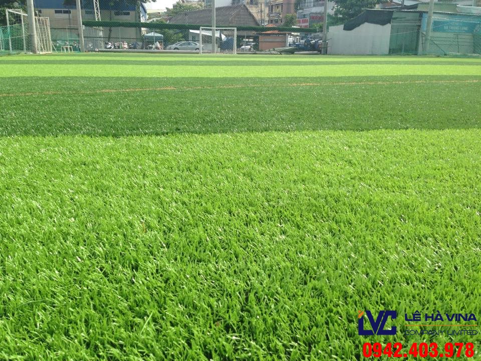 Thảm cỏ sân bóng, Mua cỏ nhân tạo giá rẻ, Lê Hà Vina, Thảm cỏ, Thảm cỏ nhân tạo sân bóng đá, Thảm cỏ nhân tạo