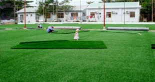 cỏ nhân tạo tại Bình Dương, cung cấp cỏ nhân tạo tại Bình Dương, Lê Hà Vina, Công ty Lê Hà Vina, đầu tư cho sân bóng, trang trí không gian nhà ở