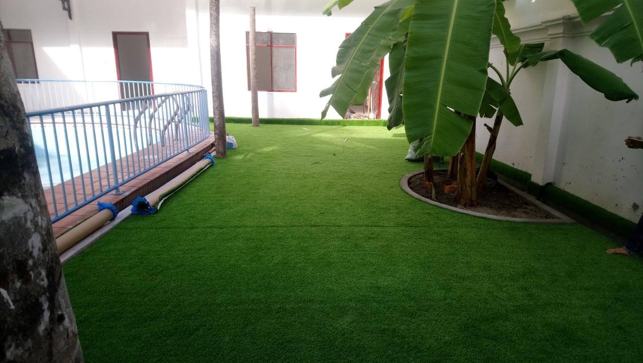 cỏ nhân tạo tại Bình Dương, cung cấp cỏ nhân tạo tại Bình Dương, Lê Hà Vina, Công ty Lê Hà Vina, đầu tư cho sân bóng, trang trí không gian nhà ở