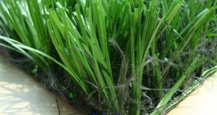 Giá cỏ nhân tạo sân bóng đá, Cỏ nhân tạo, Đầu tư cỏ nhân tạo, Cỏ nhân tạo sân bóng đá, Công ty Lê Hà Vina