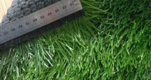 Bảng giá cỏ nhân tạo sân bóng đá, Cỏ nhân tạo sân bóng đá, Cỏ nhân tạo, Công ty Lê Hà Vina, Giống cỏ tự nhiên