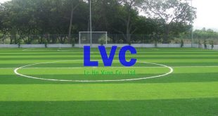 Bán cỏ nhân tạo tại Yên Bái, Công ty Lê Hà Vina, Cung cấp cỏ nhân tạo, Thi công cỏ nhân tạo, Chất lượng cỏ nhân tạo, Cỏ nhân tạo