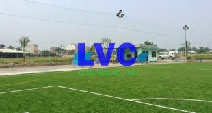 Cỏ nhân tạo tại An Giang, Cỏ nhân tạo chất lượng, Cỏ nhân tạo, Công ty Lê Hà Vina, Bán cỏ nhân tạo tại An Giang