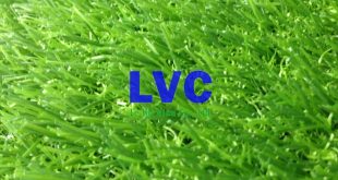 Cỏ nhân tạo, Bán cỏ nhân tạo, Lê Hà Vina, Địa chỉ bán cỏ nhân tạo, Lắp đặt cỏ nhân tạo