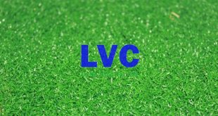 Cung cấp cỏ nhân tạo, Thi công cỏ nhân tạo, Công ty Lê Hà Vina, Cỏ nhân tạo Lê Hà Vina, Cỏ nhân tạo