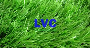 Thế giới cỏ nhân tạo, Lê Hà Vina, Sản phẩm cỏ nhân tạo, Loại cỏ nhân tạo, Trải cỏ nhân tạo