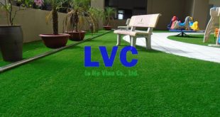 Cỏ sân vườn nhân tạo, Công ty Lê Hà Vina, Cỏ nhân tạo sân vườn, Mua cỏ nhân tạo sân vườn, Cỏ tự nhiên