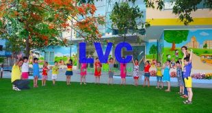 Cỏ nhân tạo trải sân ngoài trời, Lê Hà Vina, Mua cỏ nhân tạo, Cỏ nhân tạo để trải sân, Công ty Lê Hà Vina