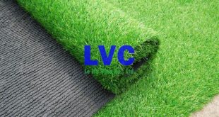 Loại cỏ nhân tạo, Cỏ nhân tạo, Cỏ nhân tạo sân bóng đá, Lê Hà Vina, Cỏ nhân tạo sân bóng LH24SC